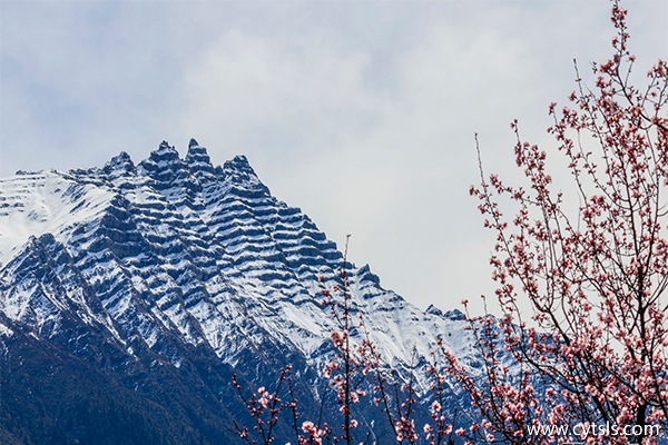 去西藏旅游多少錢(qián)
