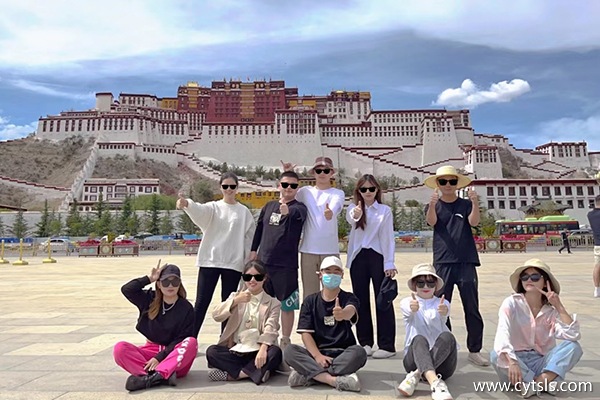 西藏當地報團價格多少錢